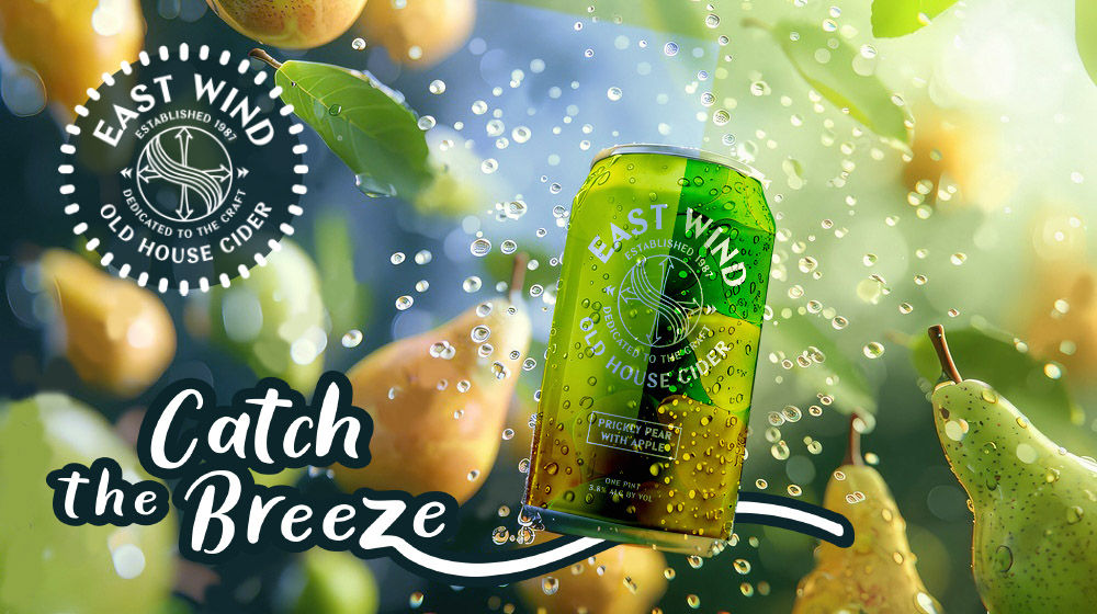 Logo identity branding Bea Pop Design by Freelance Graphic Designer Beata Popiel Kent Maidstone London