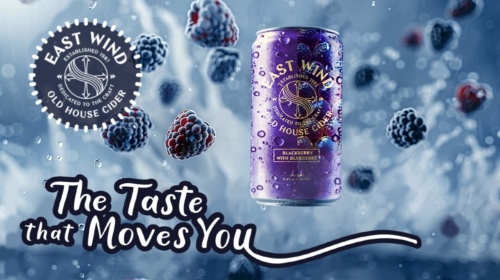 Logo identity branding Bea Pop Design by Freelance Graphic Designer Beata Popiel Kent Maidstone London