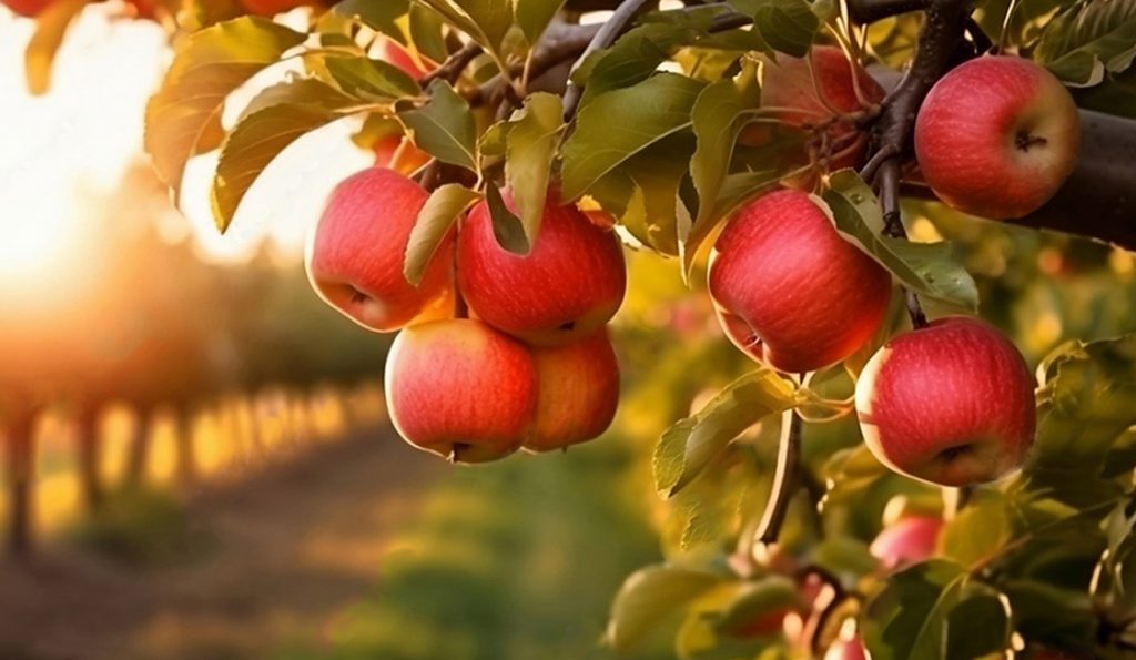 Logo identity branding Bea Pop Design by Freelance Graphic Designer Beata Popiel Kent Maidstone London