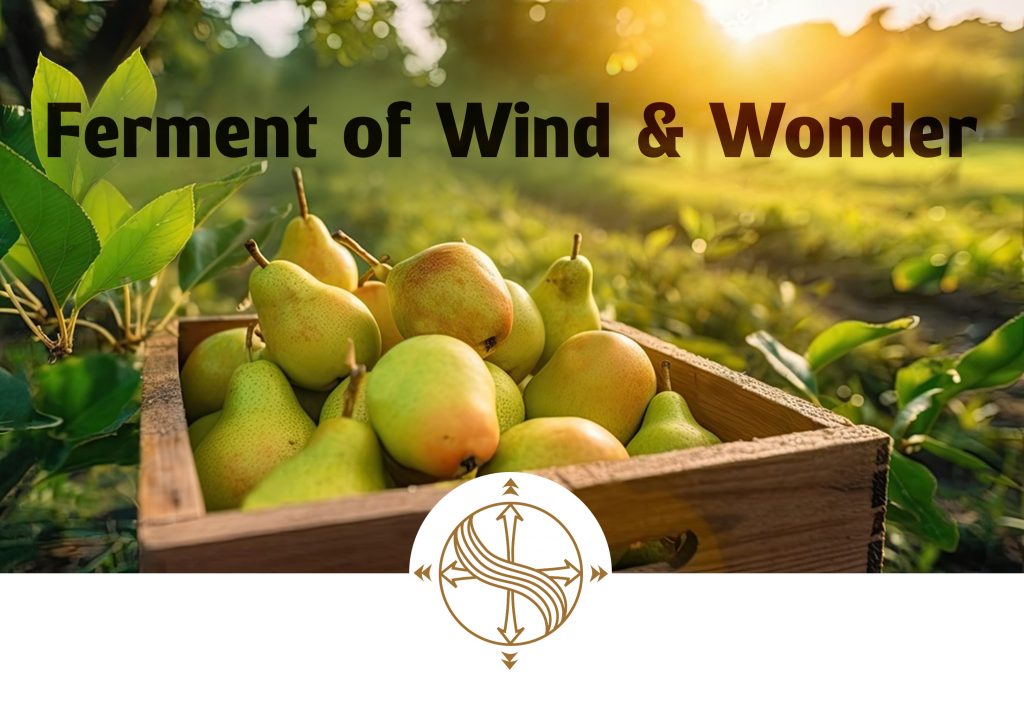 Bea Pop Design by Beata Popiel branding packaging identity Kent Maidstone London UK